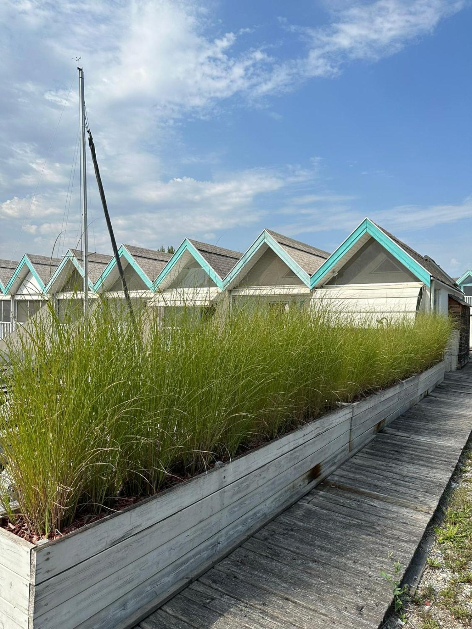Haus Am See Neusiedl am See Eksteriør bilde